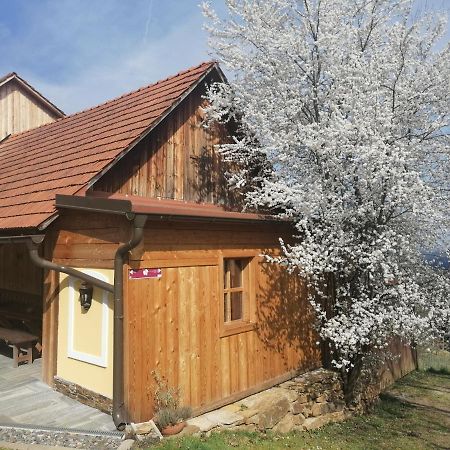Appartement Winzerei Schober à Grubberg Extérieur photo